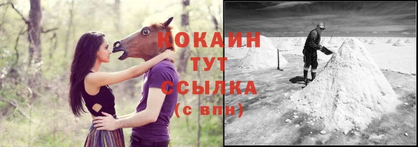 спайс Гвардейск