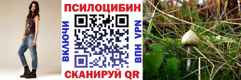 Галлюциногенные грибы Psilocybine cubensis  дарнет шоп  Калтан 